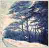 forêt en hiver