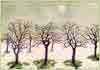 neige d' avril